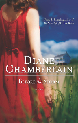Title details for Before the Storm by Diane Chamberlain - Available